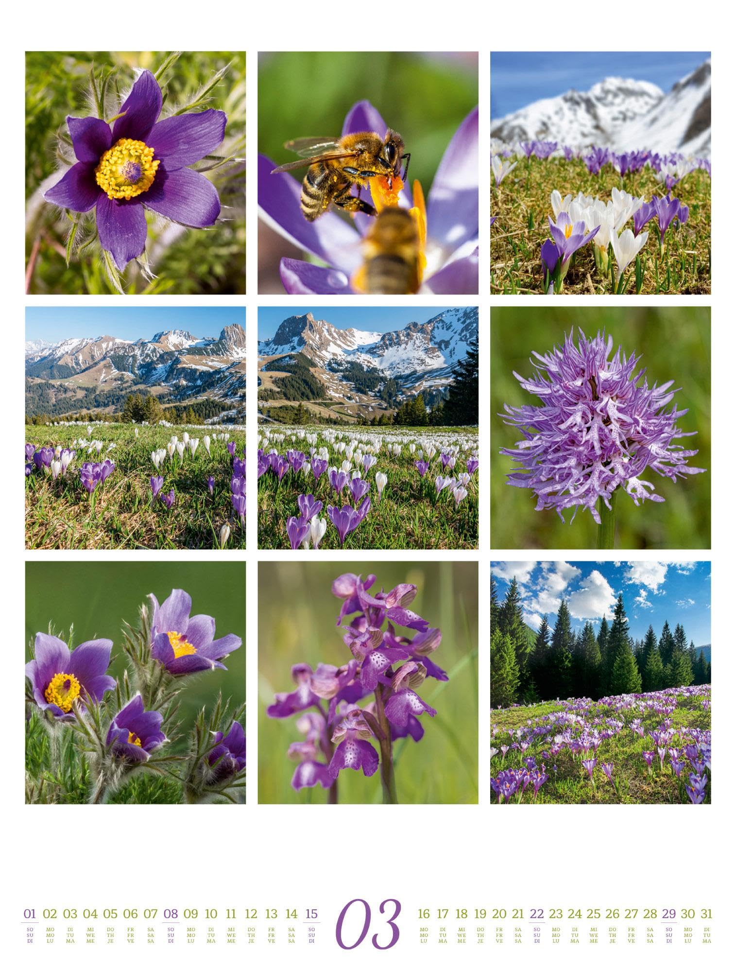 Inspiration Natur Kalender 2026 | Vielfältiger Natur-Kalender im großen Hochformat (50x66 cm) | Mehrteilige Bildmosaike im Triplet-Stil