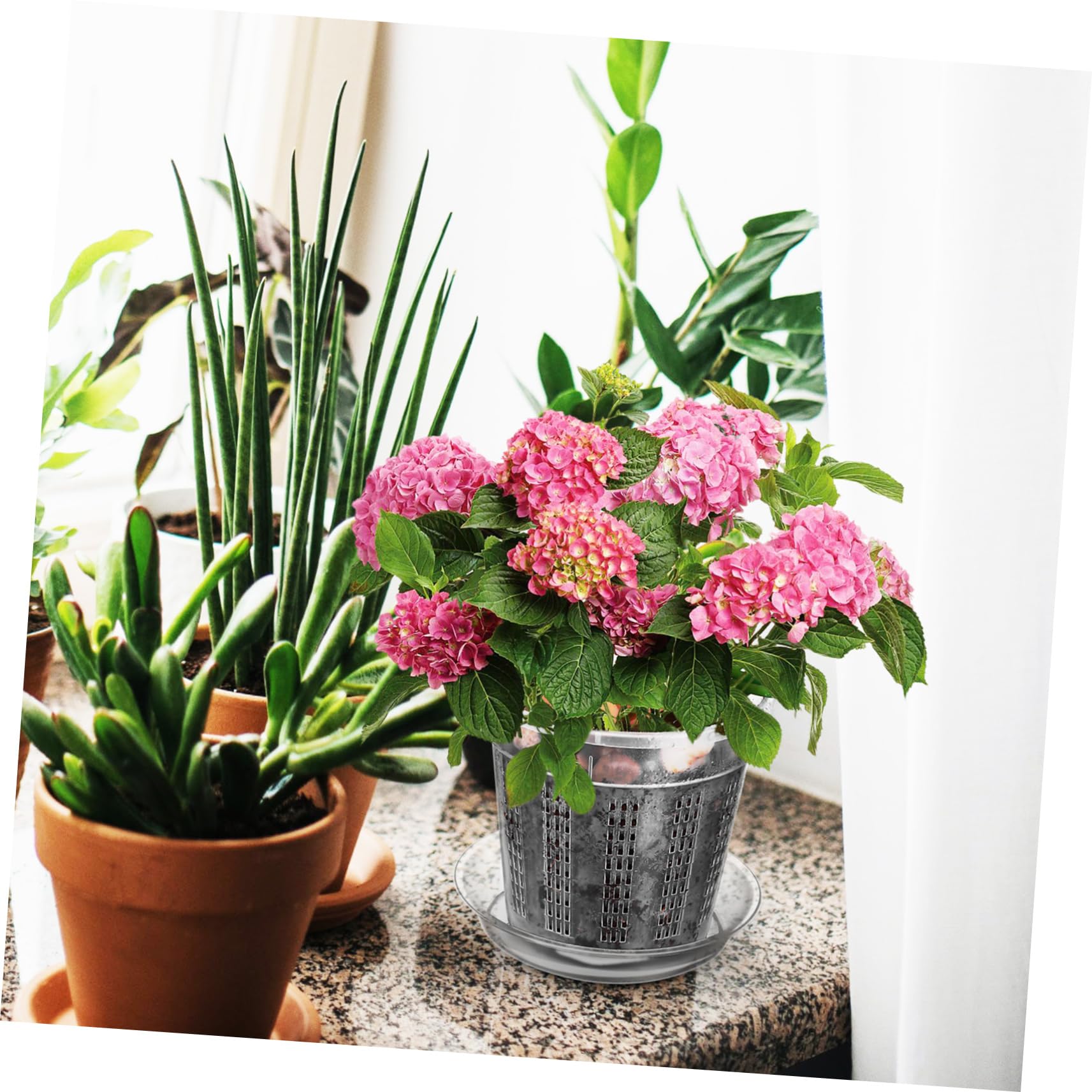Happyyami 2 Ensembles Lot Pots Orchidées Plastique Transparent avec Drainage Et Saucers Pots Fleurs Ventilés Creux Convient Intérieur Extérieur pour Fraisiers Et Plantes Variées 8 Pièces * 2