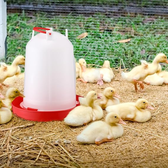 Pickmesh 2 Pcs 2 Gallon Plastic Poultry Drinker Poultry Waterer Automatic Chicken Water Feeder Fed Water Container Jar for Duck Baby Chicks Rabbit Turkeys Outdoor Farm