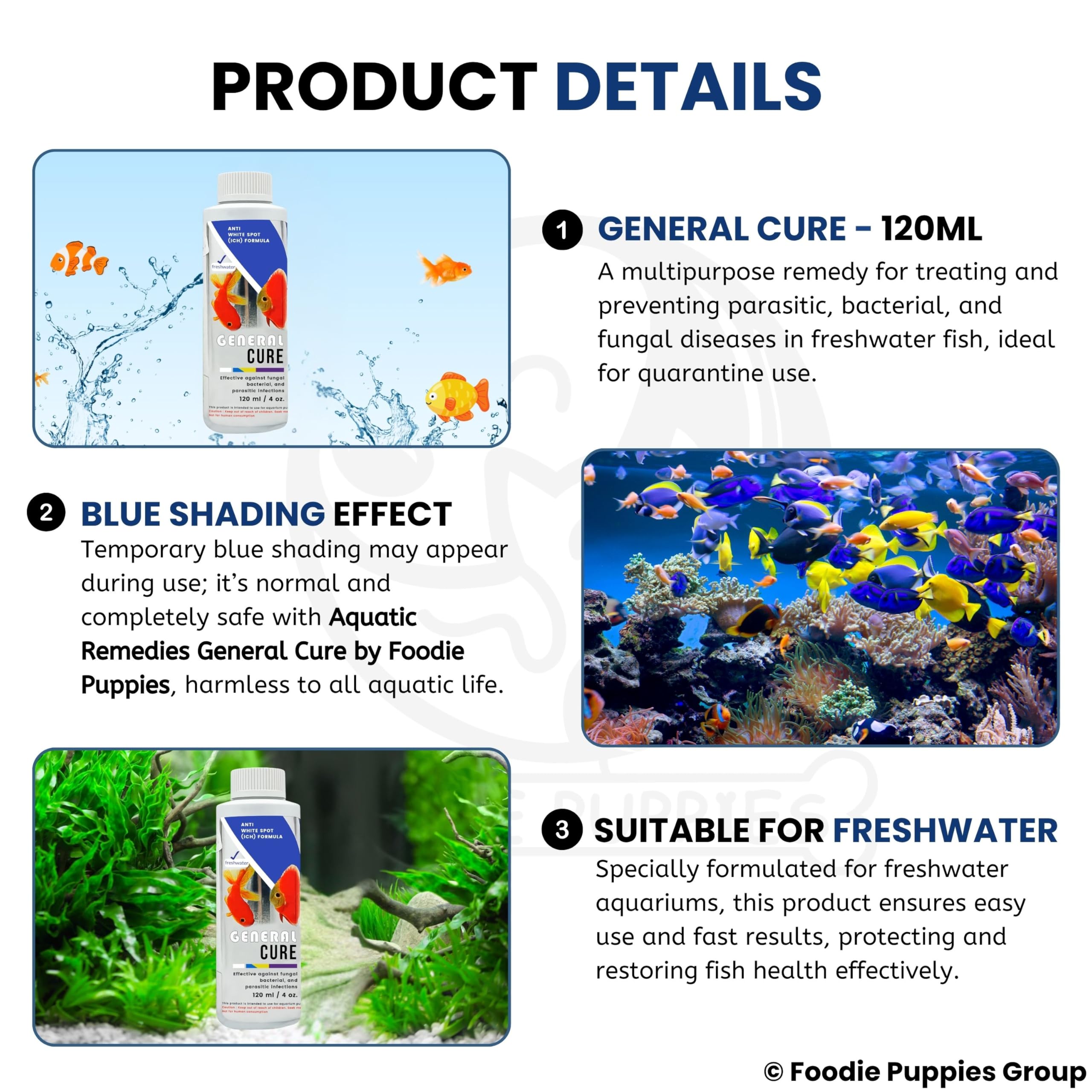 Foodie Puppies Aquatic Remedies General Cure - 120ml | Suitable for Fresh Water System | Anti White Spot Formula | Aquarium Water Medicine