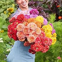 Vista 126 de Eden Brothers - Semillas de zinnia, cactus con flores, sin OMG, plantar en primavera, paquete, flores de bajo mantenimiento, zonas 3, 4, 5, 6, 7, 8