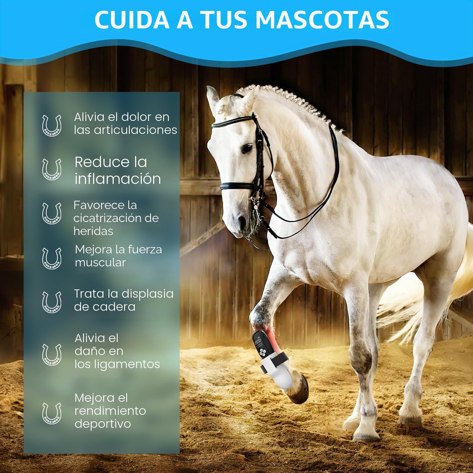 iKeener Dispositivo de terapia para mascotas/veterinarios, terapia con láser frío, alivia el dolor articular de animales, dispositivo de terapia de mano portátil con luz roja de 12 x 650 nm y 4 x 808