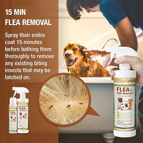 Miniatura 5 de EcoVenger Spray de eliminación de pulgas y garrapatas de 16 onzas para perros y gatos, protege de pulgas, ácaros, garrapatas y mosquitos, elimina +