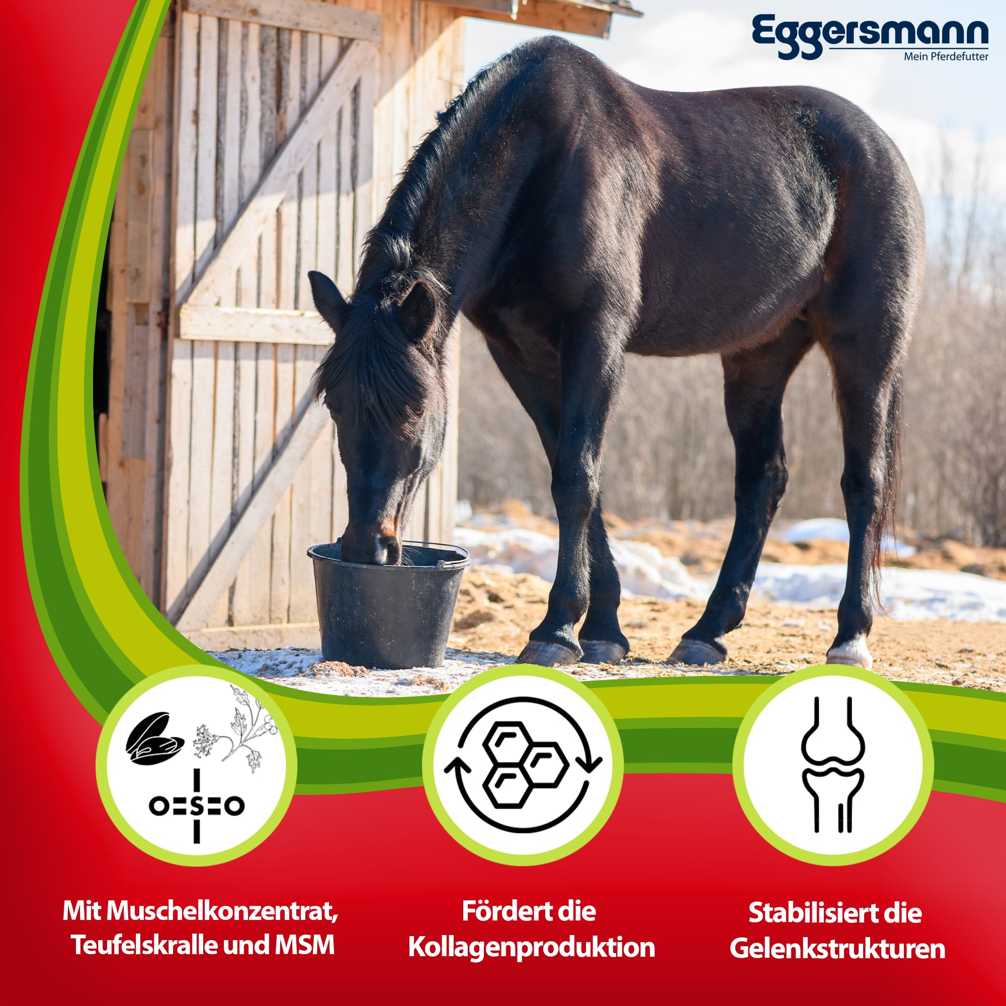 Complemento Forro de Fortalecer la tendones de Articulación de y estructuras, Eggers Muñeco Caballos Forro Profesional Articulación Activo, 1er Pack (1 x 1 kg)