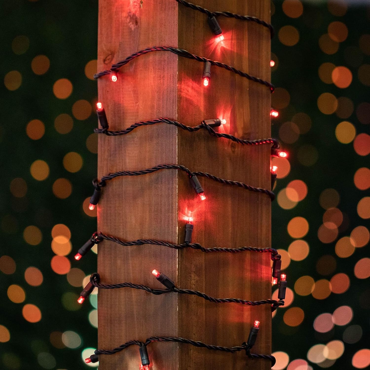 Novelty Lights 11ft Red LED Christmas String Lights, 50 Bulbs, Black Wire image 3