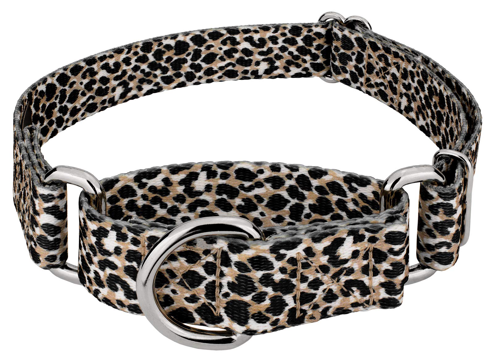 Country Brook Petz - Cheetah Martingale Dog Collar - Animal Prints Collection Featuring Wild Designs (1 Inch, Medium)