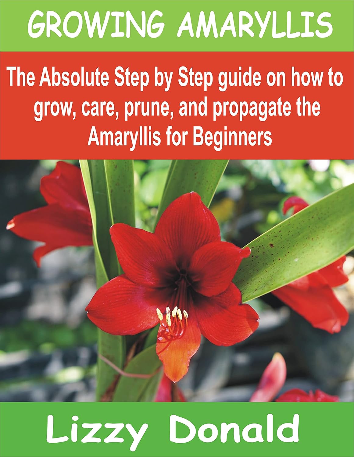 GROWING AMARYLLIS The Absolute Step by Step guide on how to Grow, Care