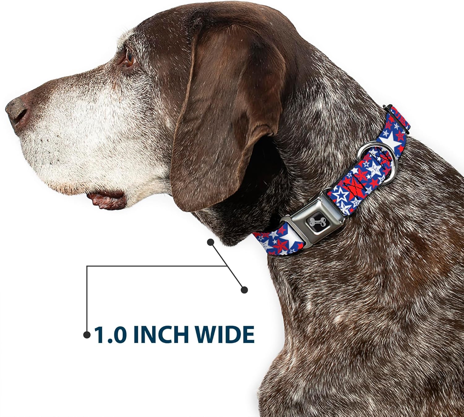 Dog Collar Seatbelt Buckle Stargazer Blue White Red 11 to 17 Inches 1.0 Inch Wide