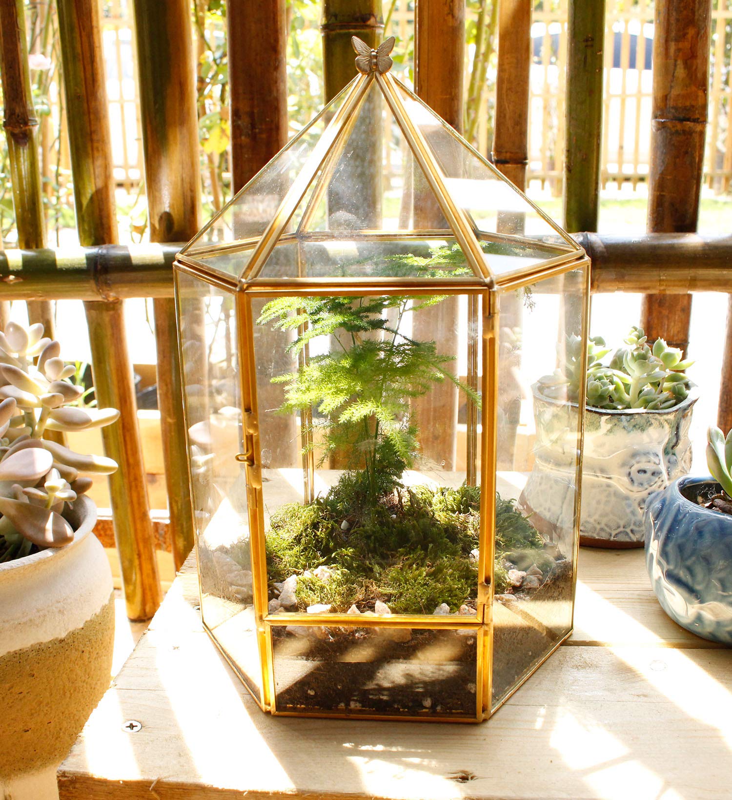ELEGANTLIFE Terrario geometrico in vetro per piante, piante grasse e aeree, decorazione per casa, giardino, ufficio, senza piante (oro esagonale)