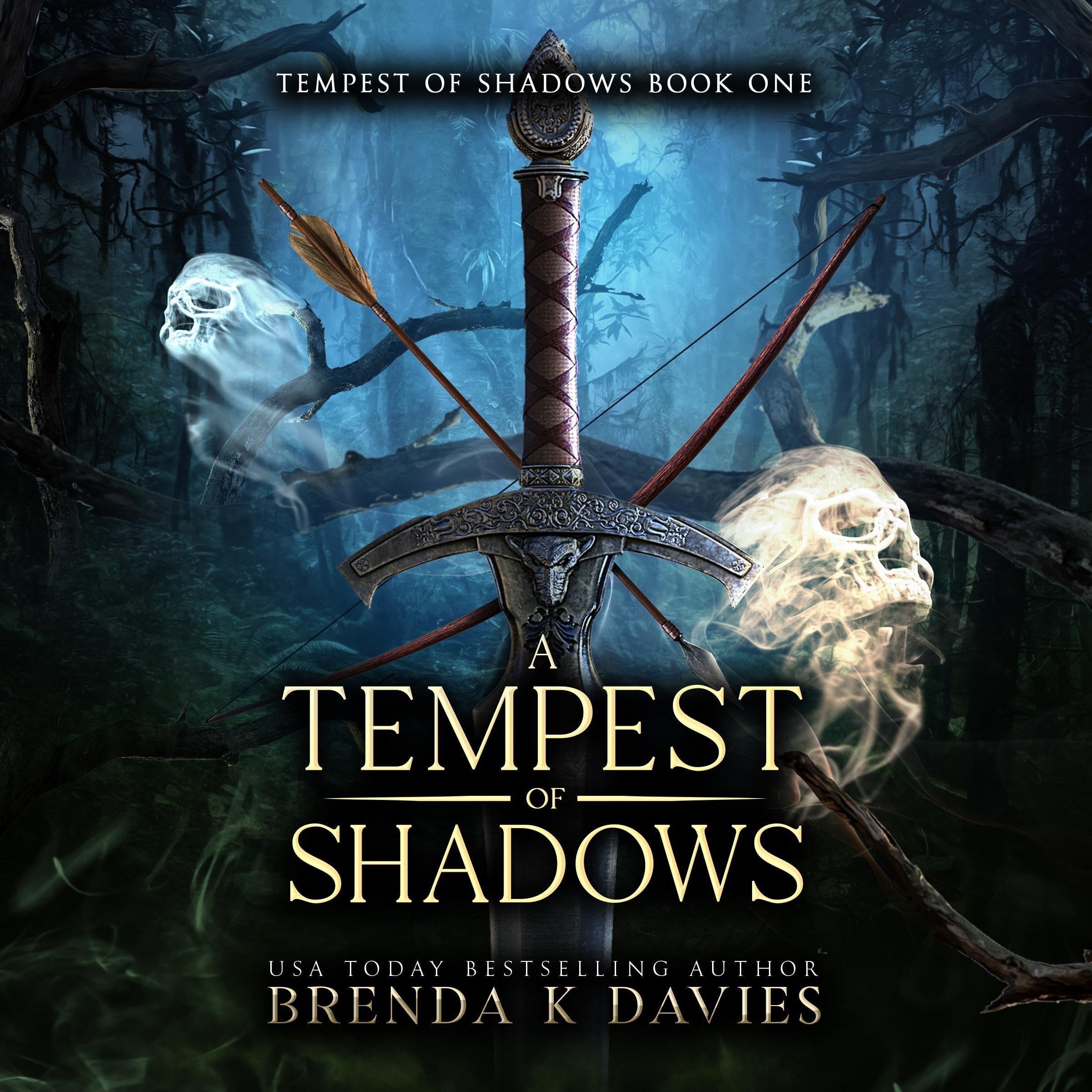 Cover art for A Tempest of Shadows: Tempest of Shadows, Book 1