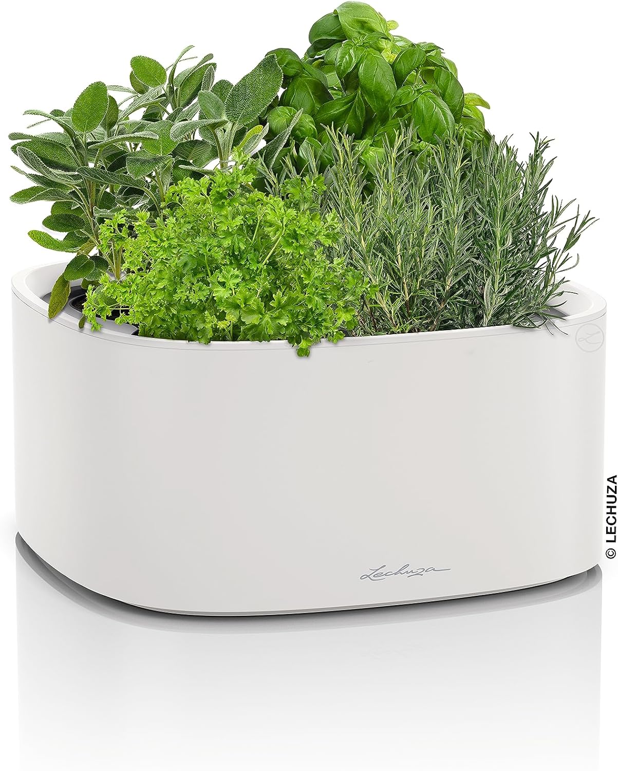 Lechuza PILA Color Stick Light Grey, Self-Watering Small Planter, L13.8 W13.8 H6.5 in