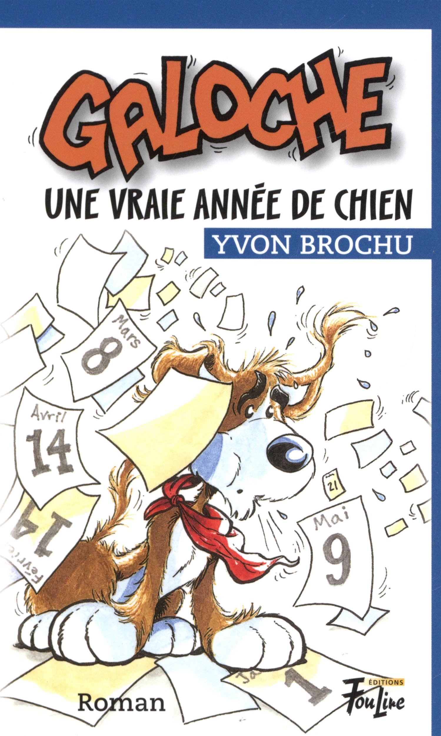 Galoche une vraie année de chien 03 [Paperback] Brochu, Yvon