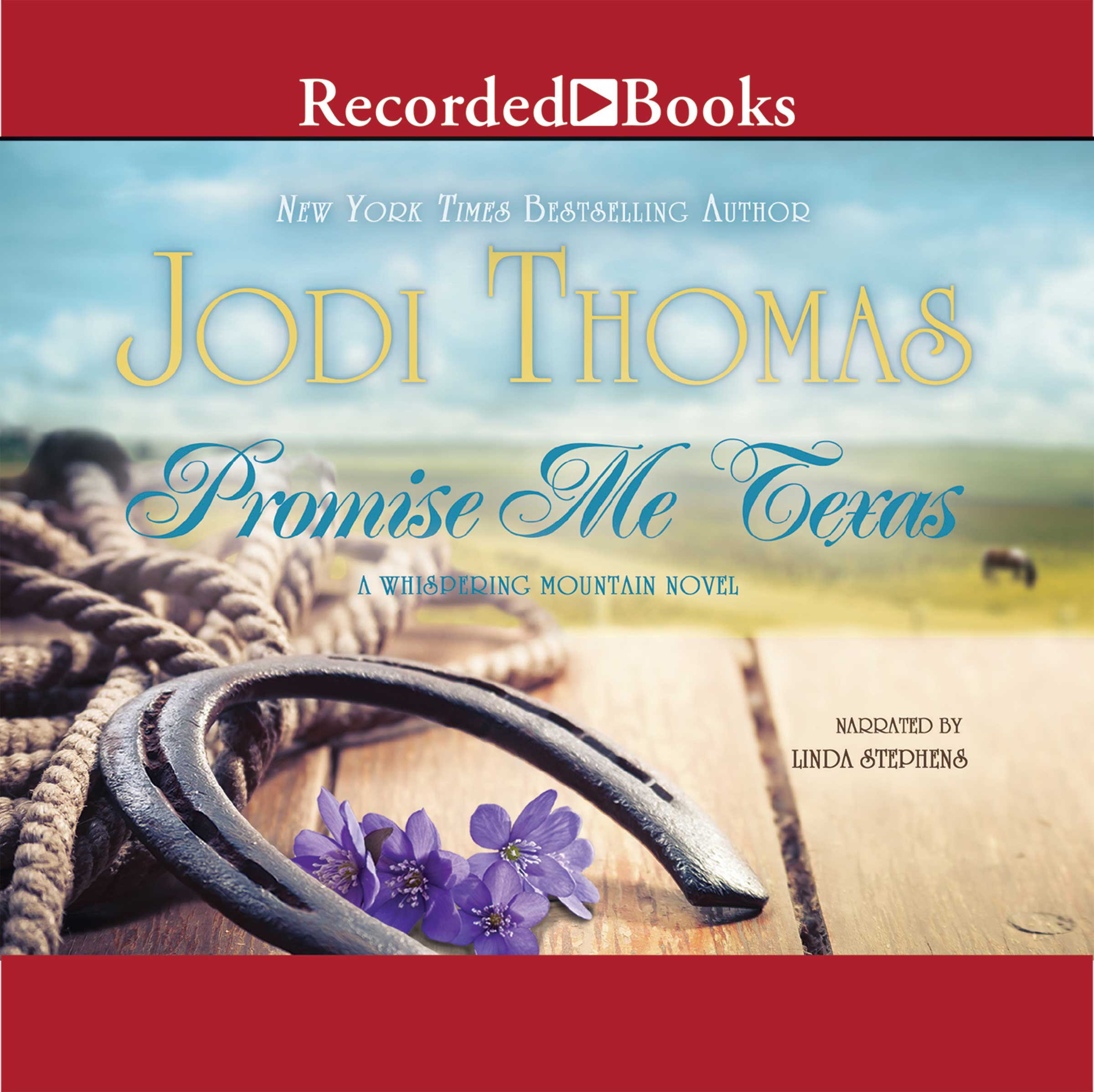 Cover art for Promise Me Texas