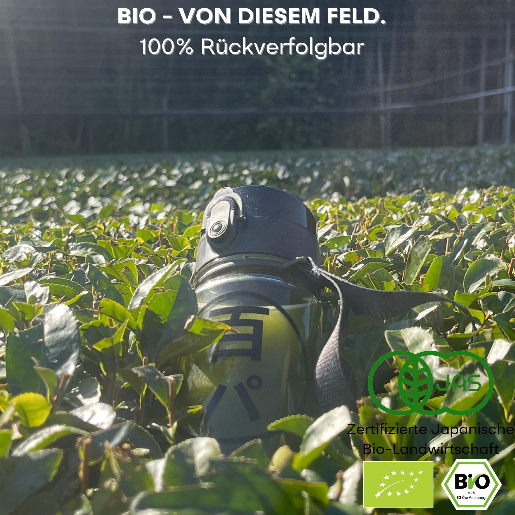Hyaku-Pa Grüner Tee, Bio Matcha Pulver & Sencha- Premium Japanischer Tee- No Brew Ocha- Heiß & Kalt- Fokus & Sport, 100% Natürlich