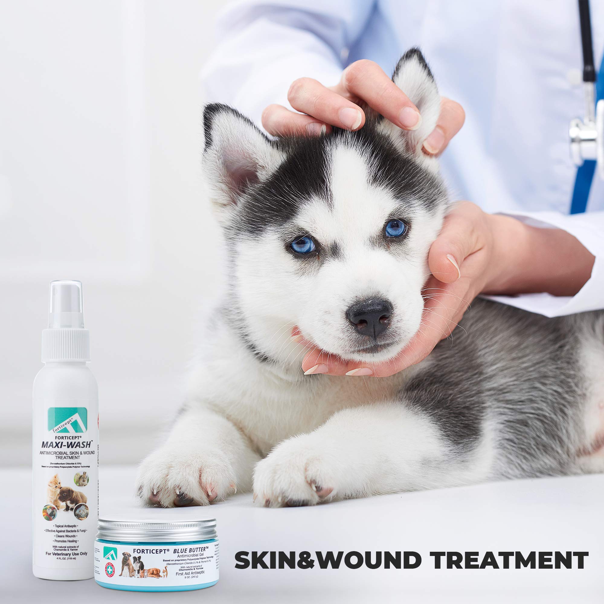 Forticept Blue Butter Antimicrobial Gel, Antiseptic Hydrogel Wound