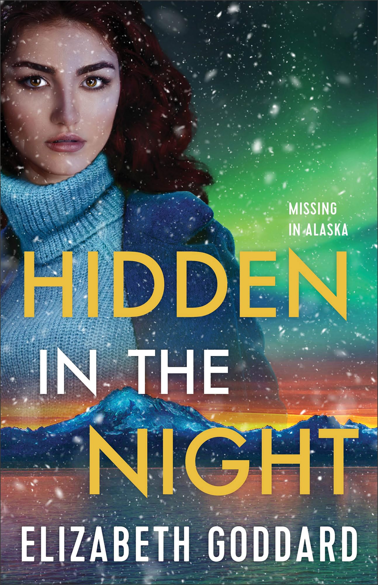 Hidden in the Night by Elizabeth Goddard PAPERBACK 9780800742065