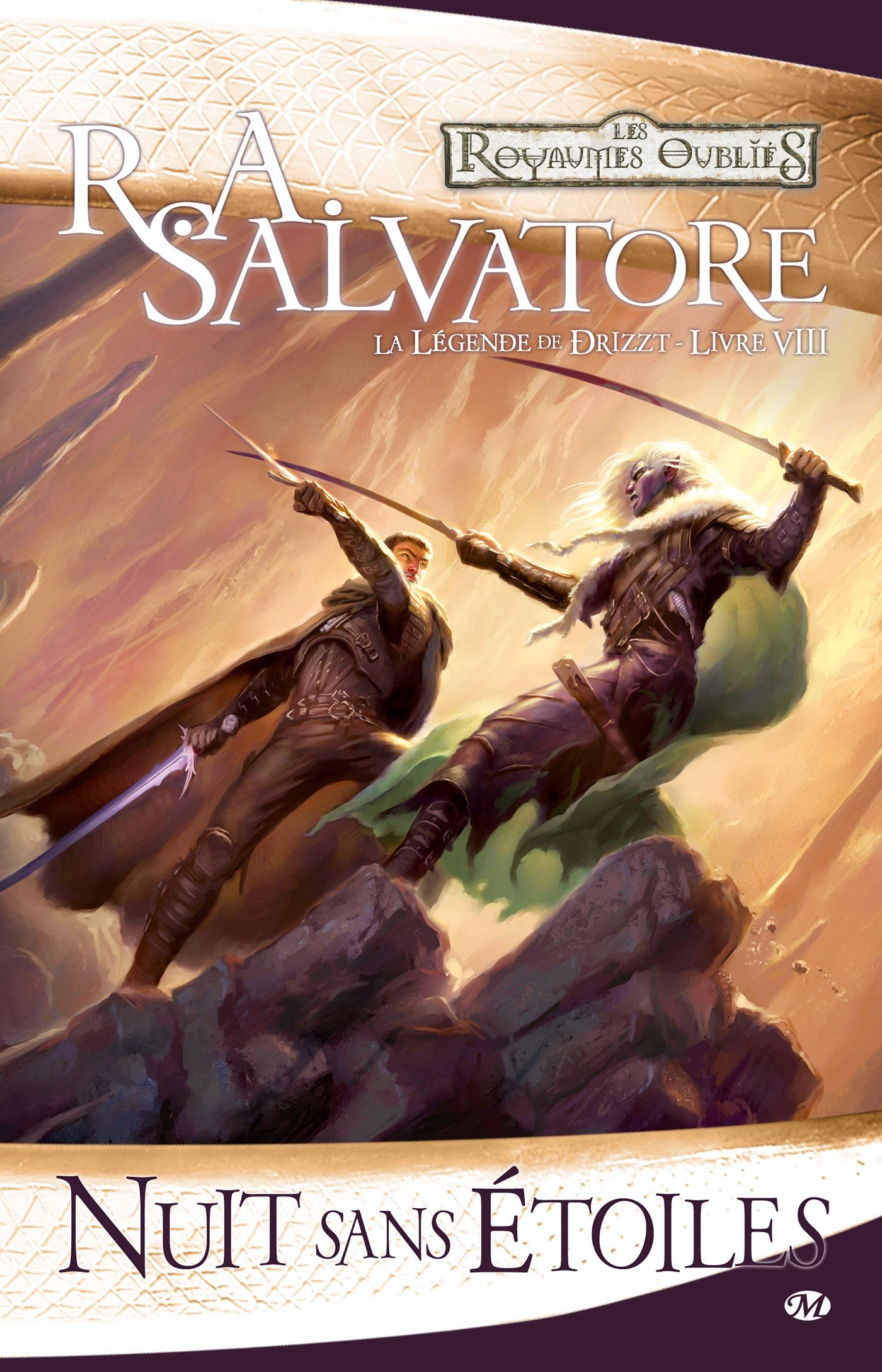La Légende de Drizzt, T8: Nuit sans étoiles