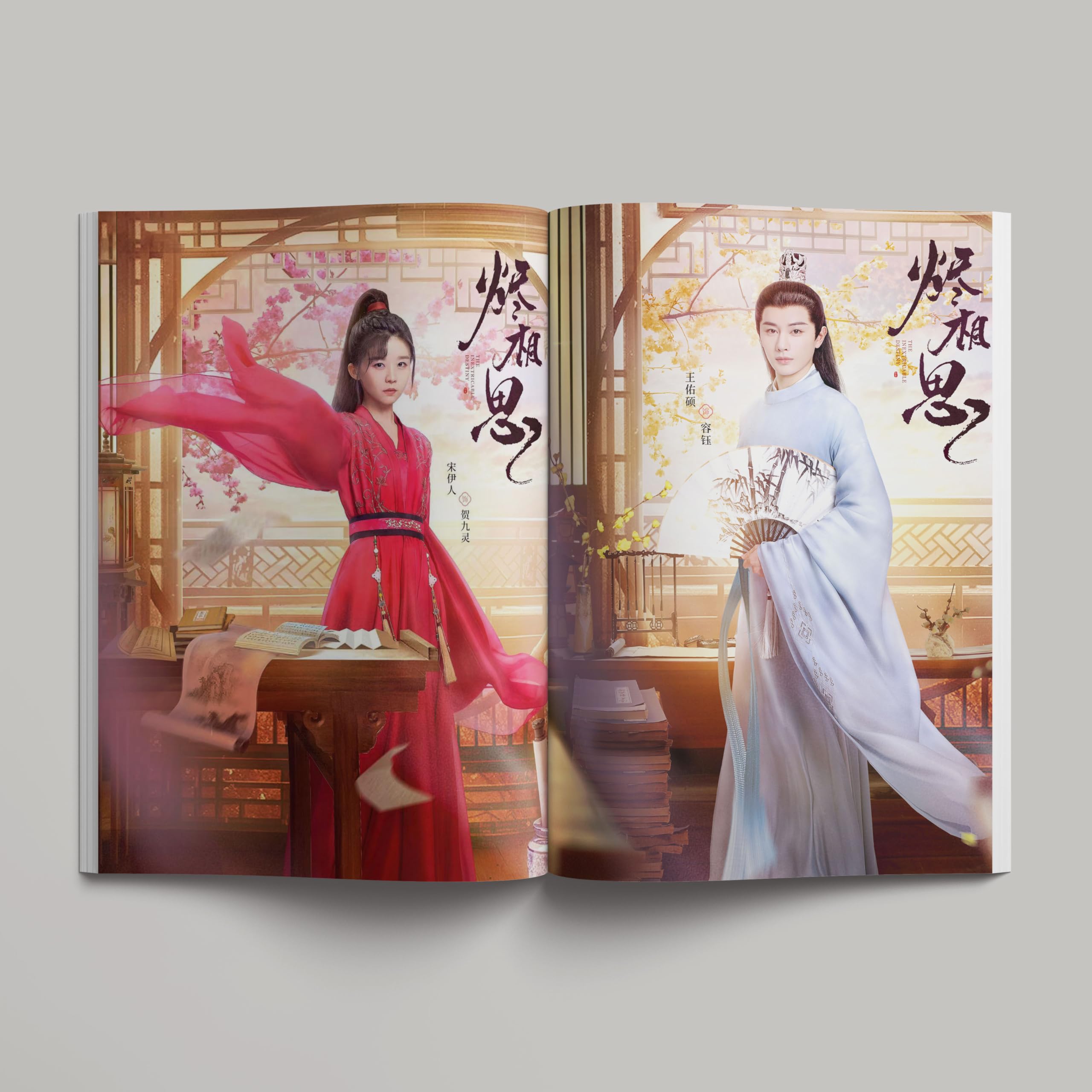 Amazon.co.jp: 月見竹取 雪花咲く、君を想う 烬相思 写真集 60+2P 主演