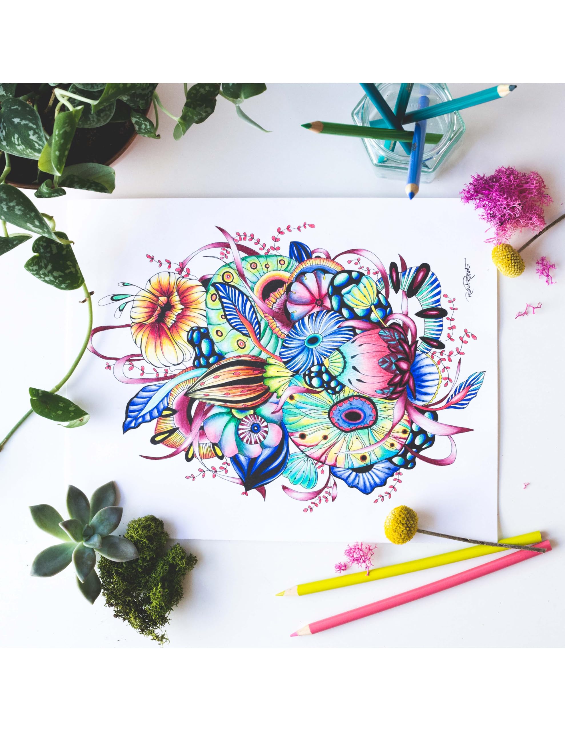 Botanical Wonderland: A Blissful Coloring Retreat (Coloring Wonderland)