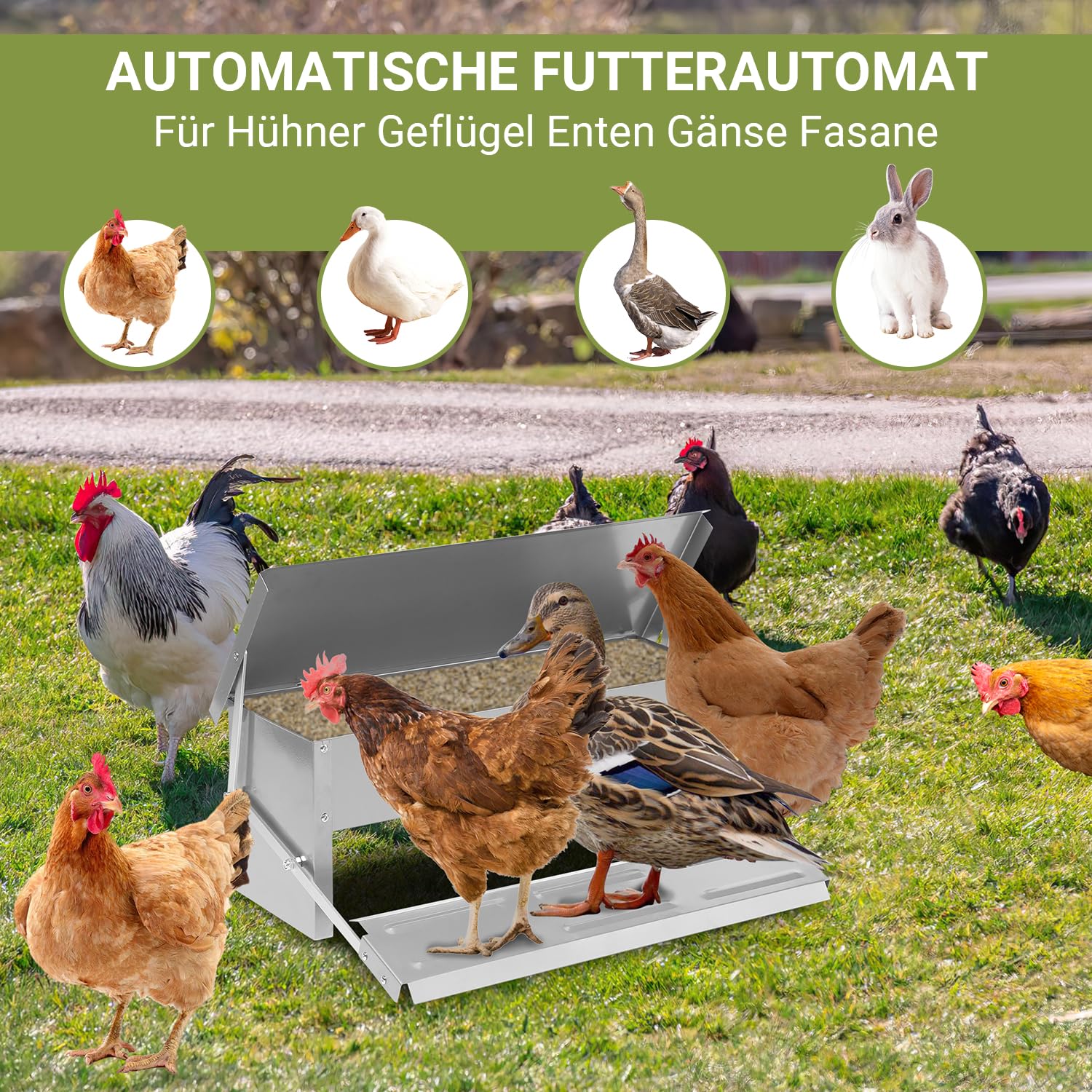 Mangiatoia automatica per polli, 1 mangiatoia automatica Feedomatic, con pedana, 5 kg, mangiatoia per polli, a prova di ratti, antiscivolo, per tacchini, oche, anatre