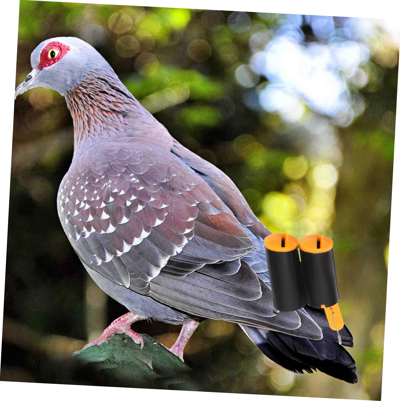 BESTonZON 2Pcs Professional Pigeon Whistles Portable Training Accessory for Pigeon Training Lightweight Design Safe for Birds Random Color