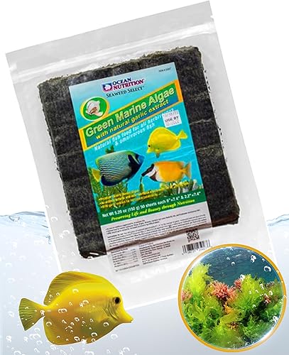 Ocean Nutrition - Algas marinas (50 hojas)
