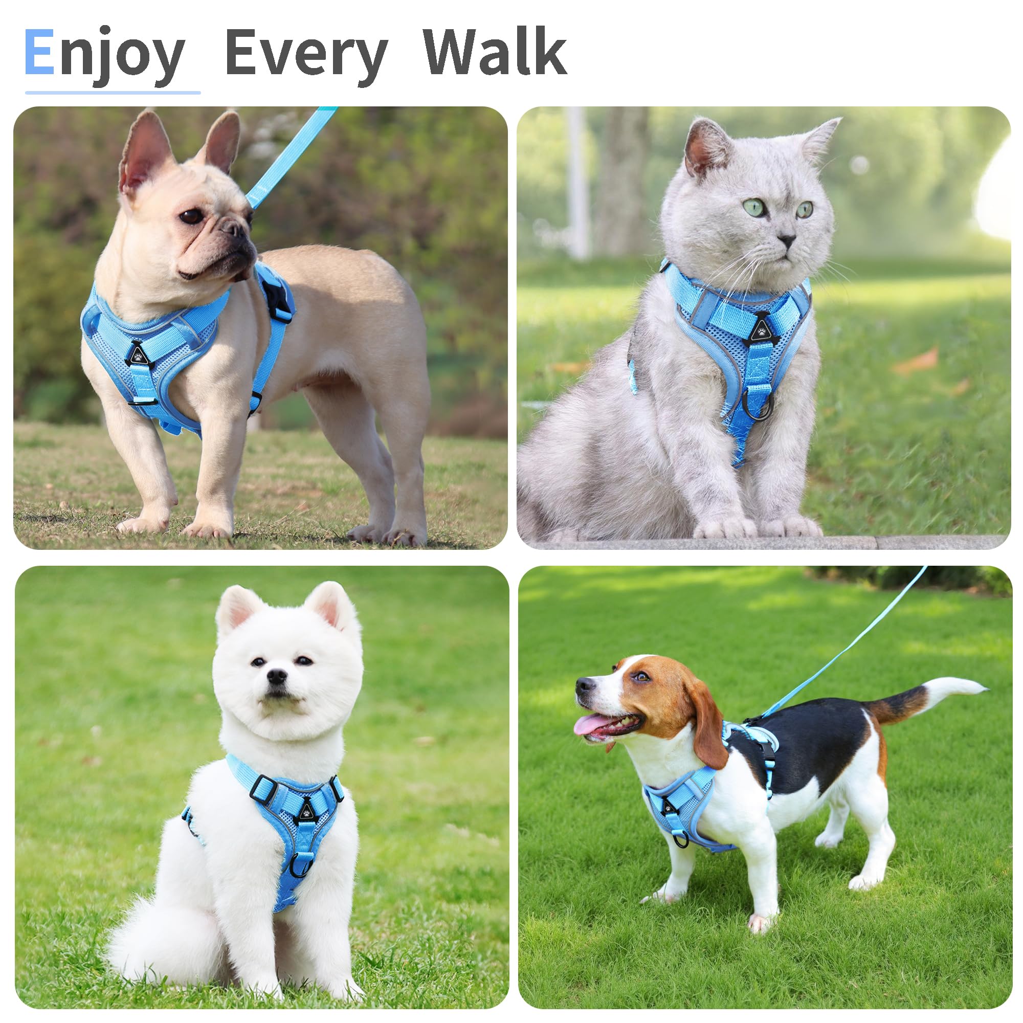 Hundegeschirr mit Leine für kleine Hunde, reflektierend, verstellbar, kein Würgen, mit Frontclip, Katzengeschirr mit atmungsaktivem Netzgewebe, bequem, weich gepolstert, Blau, Größe S