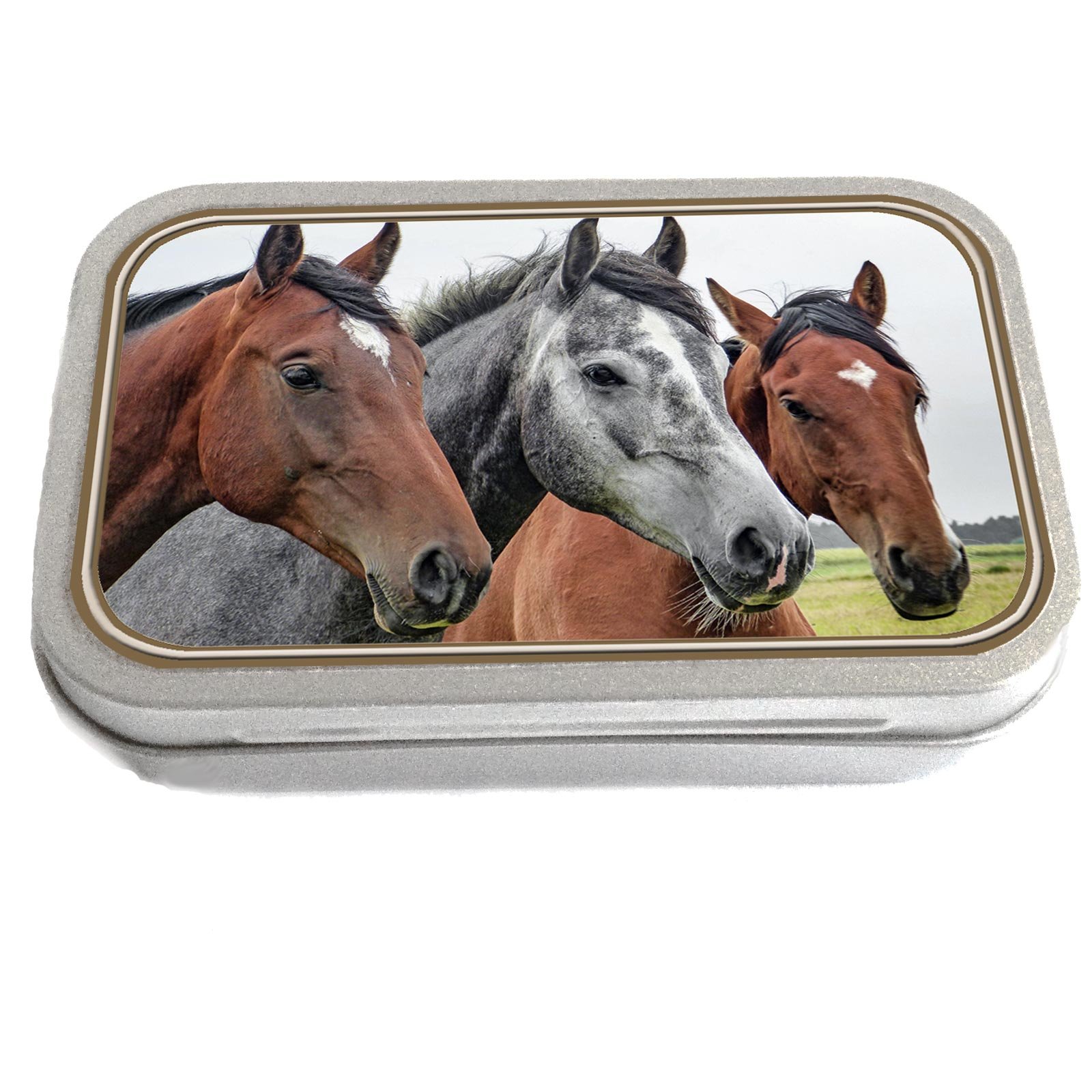Knutty's Knobs Horses Design Slim Silver Metal Storage 1oz Hinged Tin 94mm x 59mm x 21mm Tobacco Storage