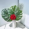Product Photo 9