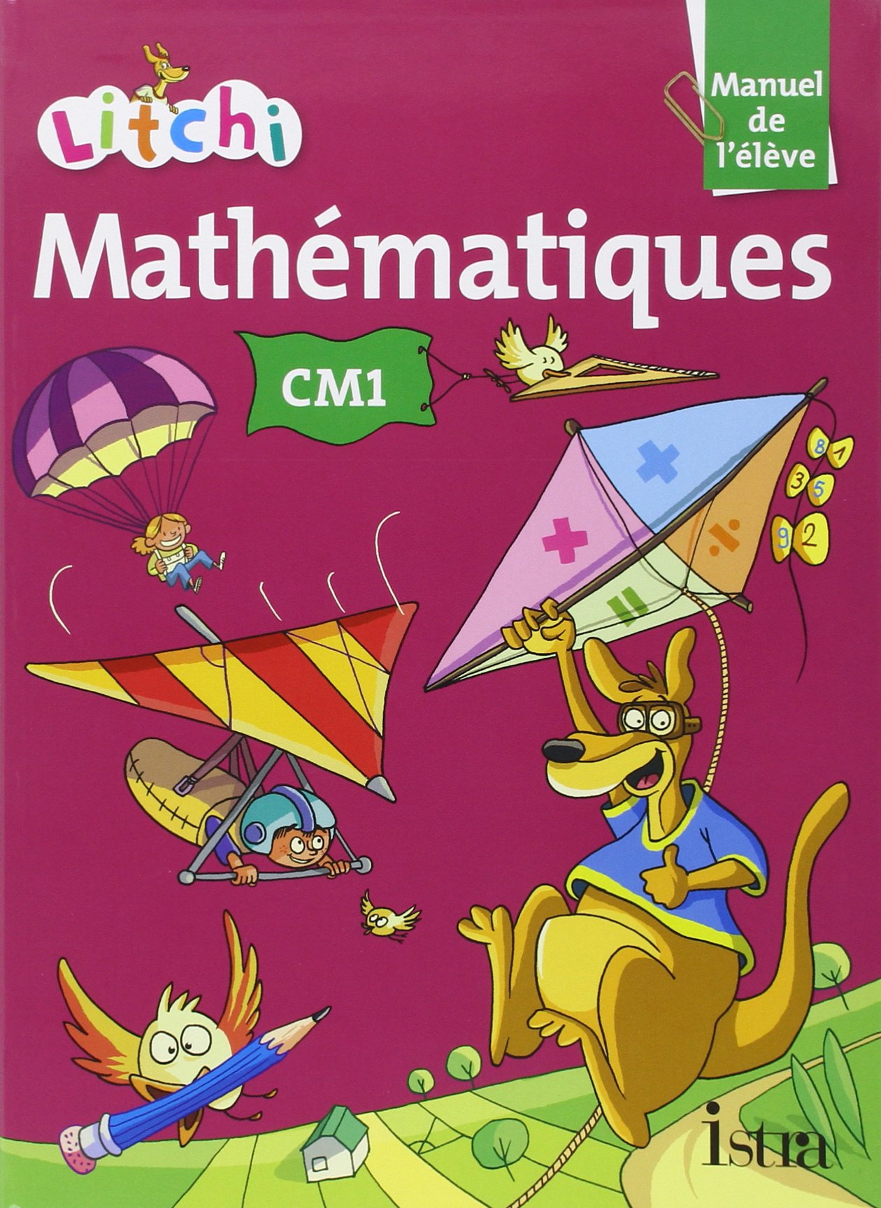 Litchi Mathematiques CM1 - Fichier élève (éd.2014)