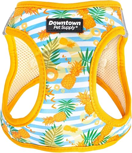 Downtown Pet Supply - Arnés ajustable para perro con chaleco acolchado, sin tirones, fácil de poner, para perros pequeños, medianos y grandes