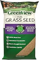 GreenView Perennial Ryegrass Blend Grass Seed 20 lb - Covers 10,000 sq ft, Quick Germination, Weed-Free for High Traffic Lawns