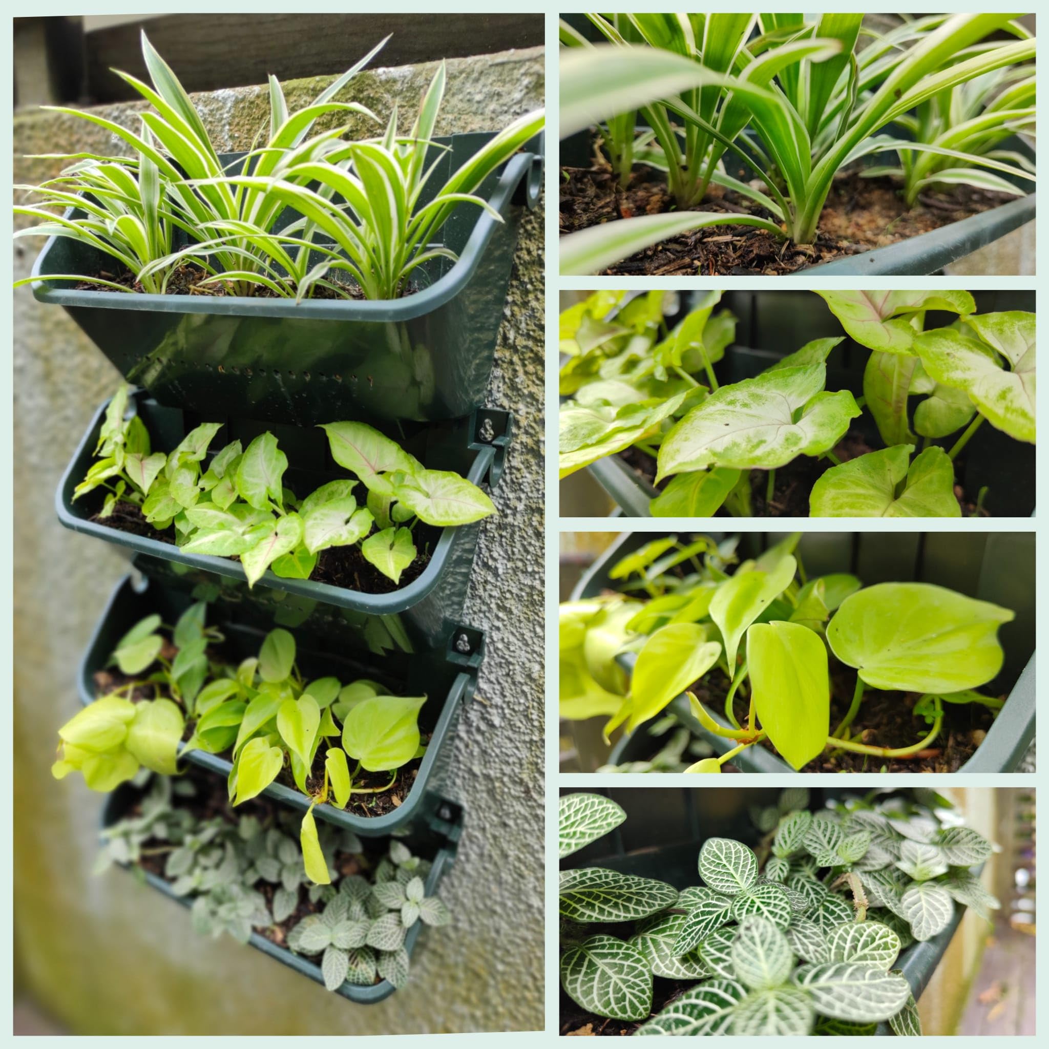Maxona Lot de 4 pots de fleurs verticaux de 33 cm à fixation murale pour terrasse, décoration extérieure, pot en plastique vert, pour plantes, légumes, fruits, herbes