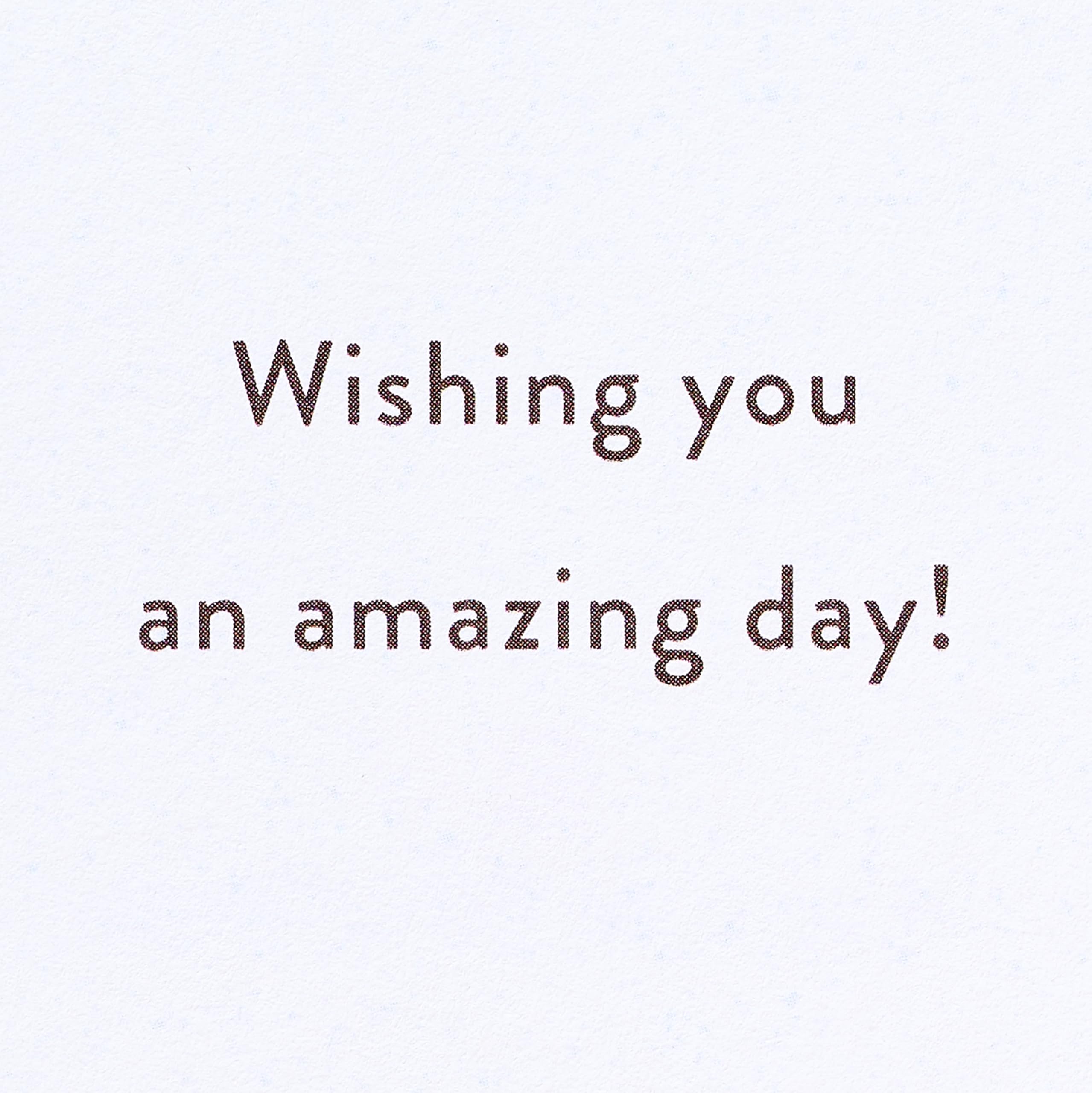 American Greetings Sign Language Birthday Card (Amazing Day)