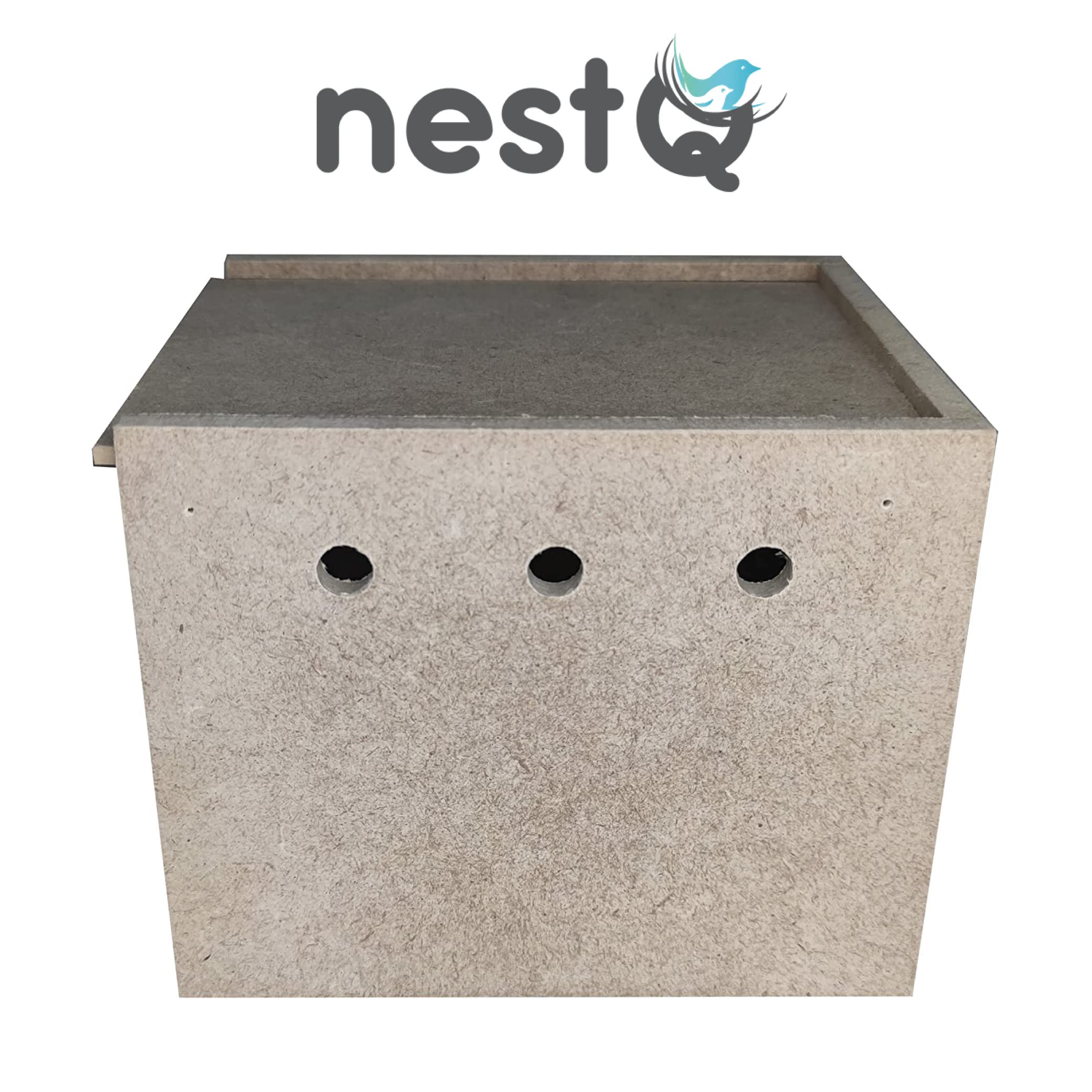 Nid en bois pour exotiques Diamants Mandarin de Gould, Bavoir, Papagayo, Modesto, Ruficaudo, Bichenov, Modesto, Pico Plata, Tricolore, Isabelite du Japon