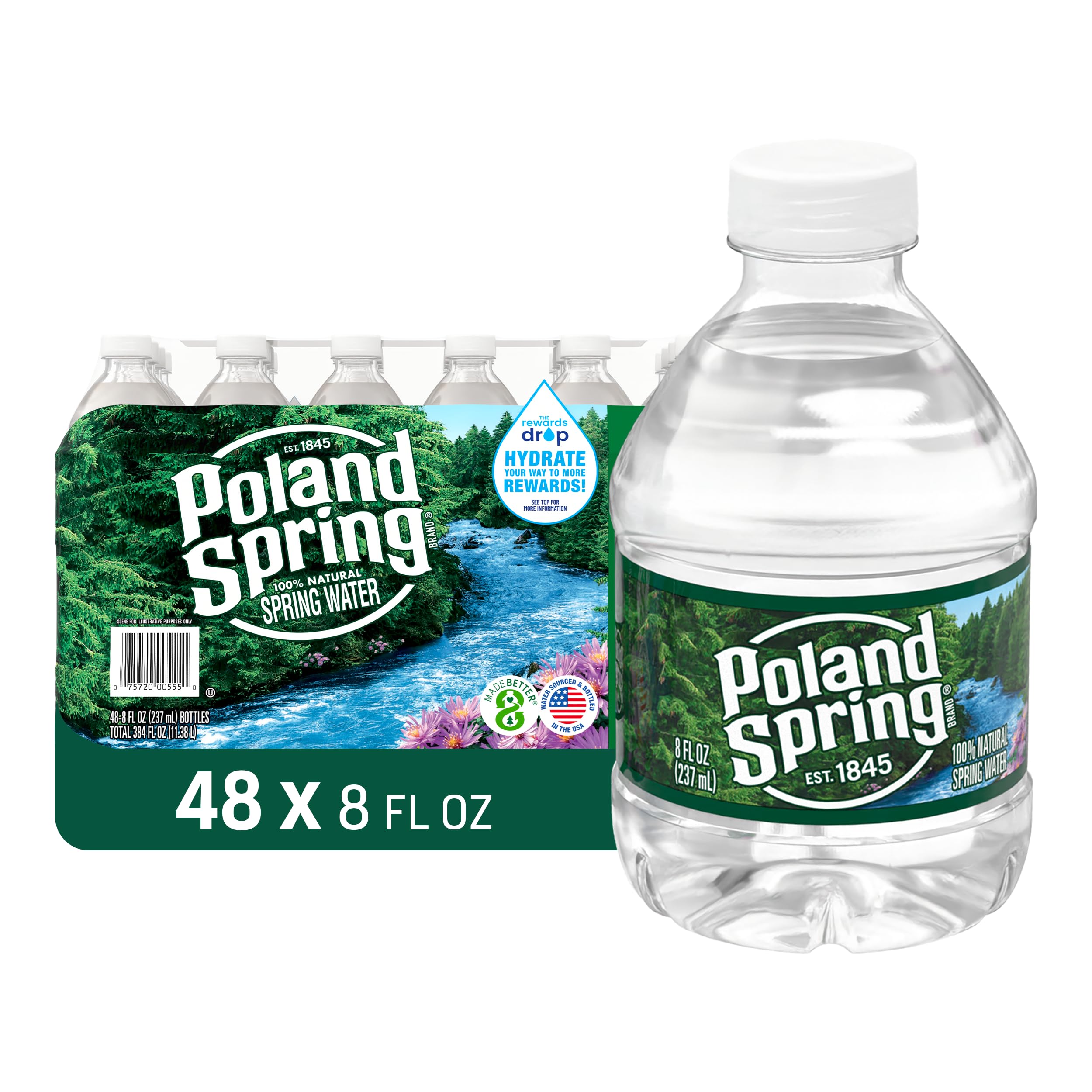 Poland Spring Maine Spring Water Bottles, 48 Pack – Crisp, Still Bottled Water with Naturally Balanced Occurring Minerals & Electrolytes for Taste - 8 Fl Oz