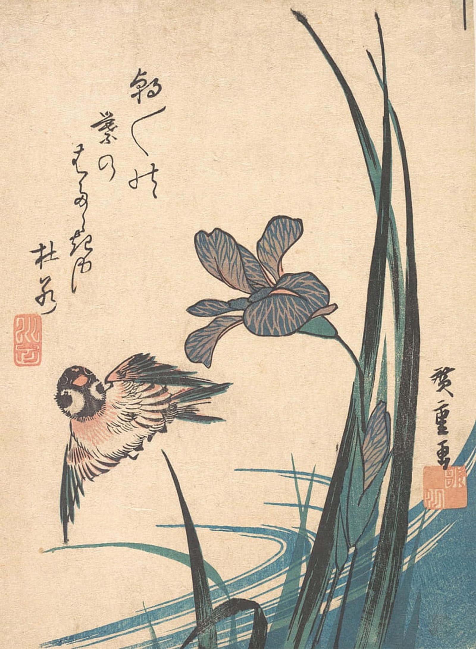 ARTXLXXBN Famous Print Painting Colorful Art Print Iris and bird by Ando Hiroshige Canvas Art Decorations for Home Decor 60x90cm