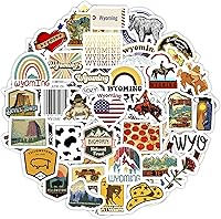 Vista 27 de BulbaCraft Pegatinas Legendarias de Bandas de Rock – Adhesivos de Vinilo para Laptop de Heavy Metal - Pegatinas de Bandas de Vinilo para Adultos