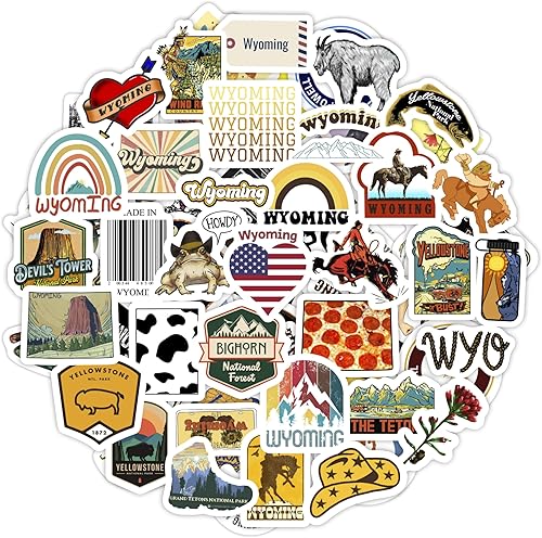 Vista 153 de BulbaCraft 100 calcomanías de baile para botella de agua, calcomanías de baile para álbumes de recortes, regalos para bailarines, regalos