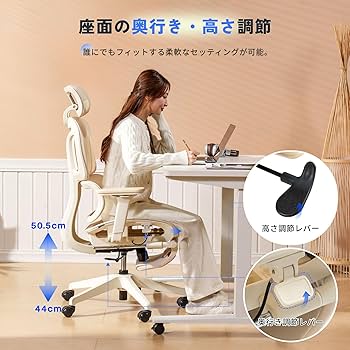 Amazon.co.jp: FLEXISPOT オフィスチェア デスクチェア C7 人間