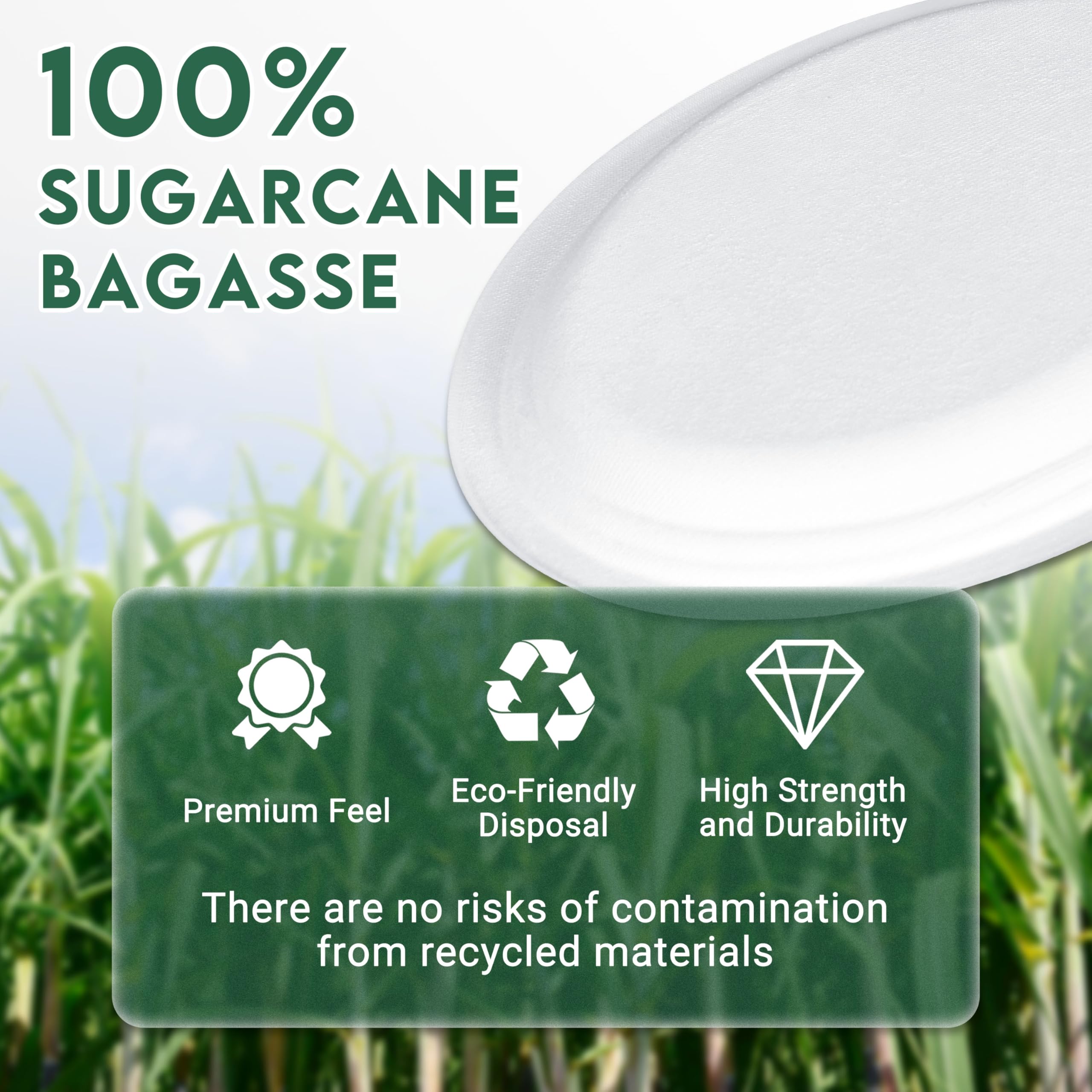 ZOES HOMEWARE Platos de papel ovalados 100% compostables de 12 pulgadas a granel, 100 unidades, platos desechables grandes y resistentes, platos de pulpa de caña de azúcar ecológicos para fiestas,
