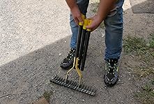 Review Image by Laken Laken