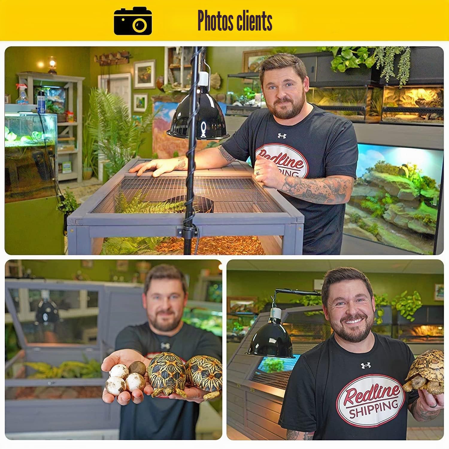 Grande maison en bois pour tortues – habitat, enclos pour tortues d'intérieur pour petits animaux, terrarium pour reptiles et amphibiens – Protection de sécurité contre le vent et la pluie