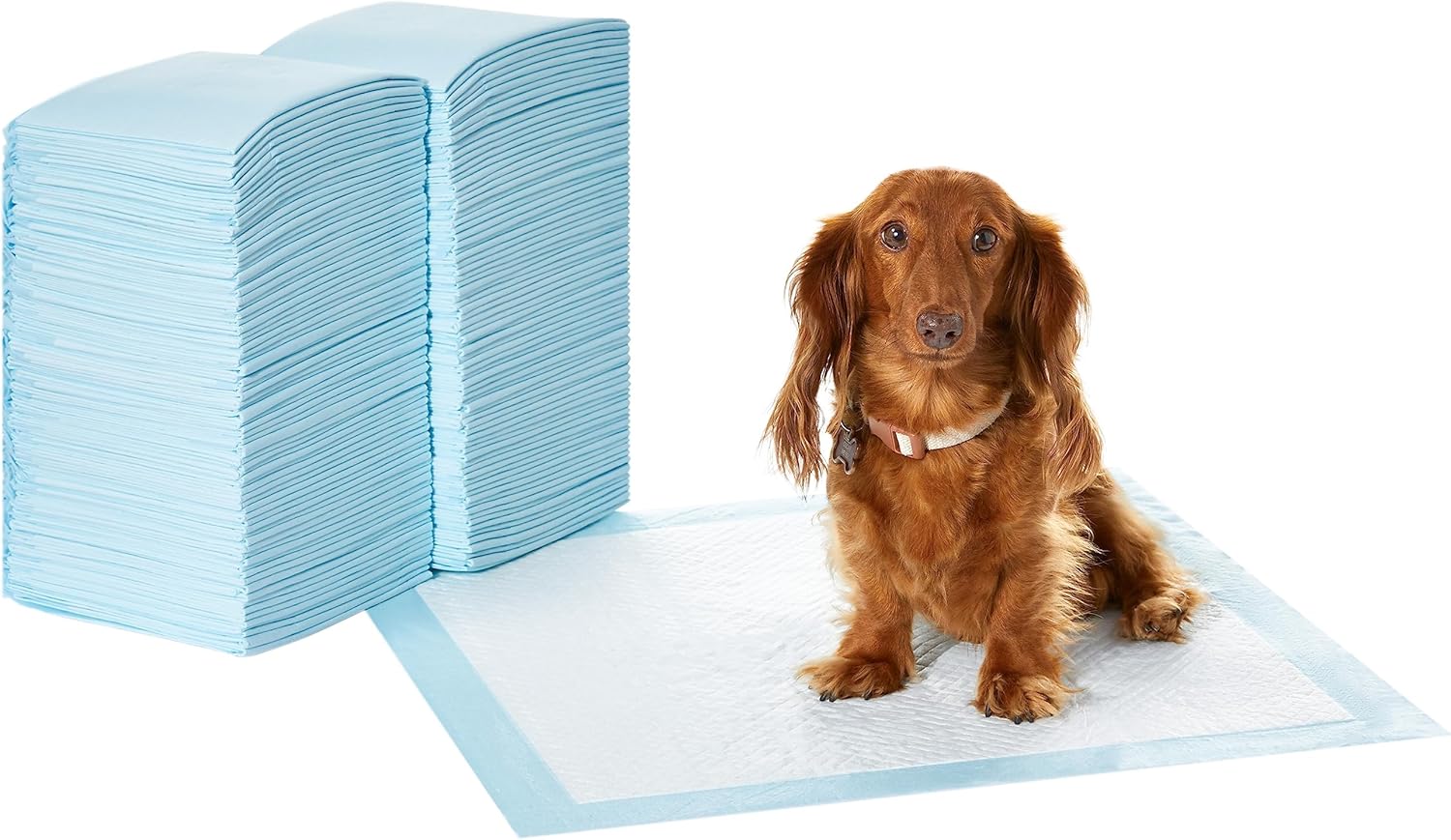 Amazon Basics Dog and Puppy Pee Pads with 5Layer Leak