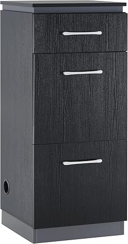 BarberPub Gabinete de almacenamiento de salón con cajones de herramientas para peinado, equipo de belleza multiusos 2002 (negro)