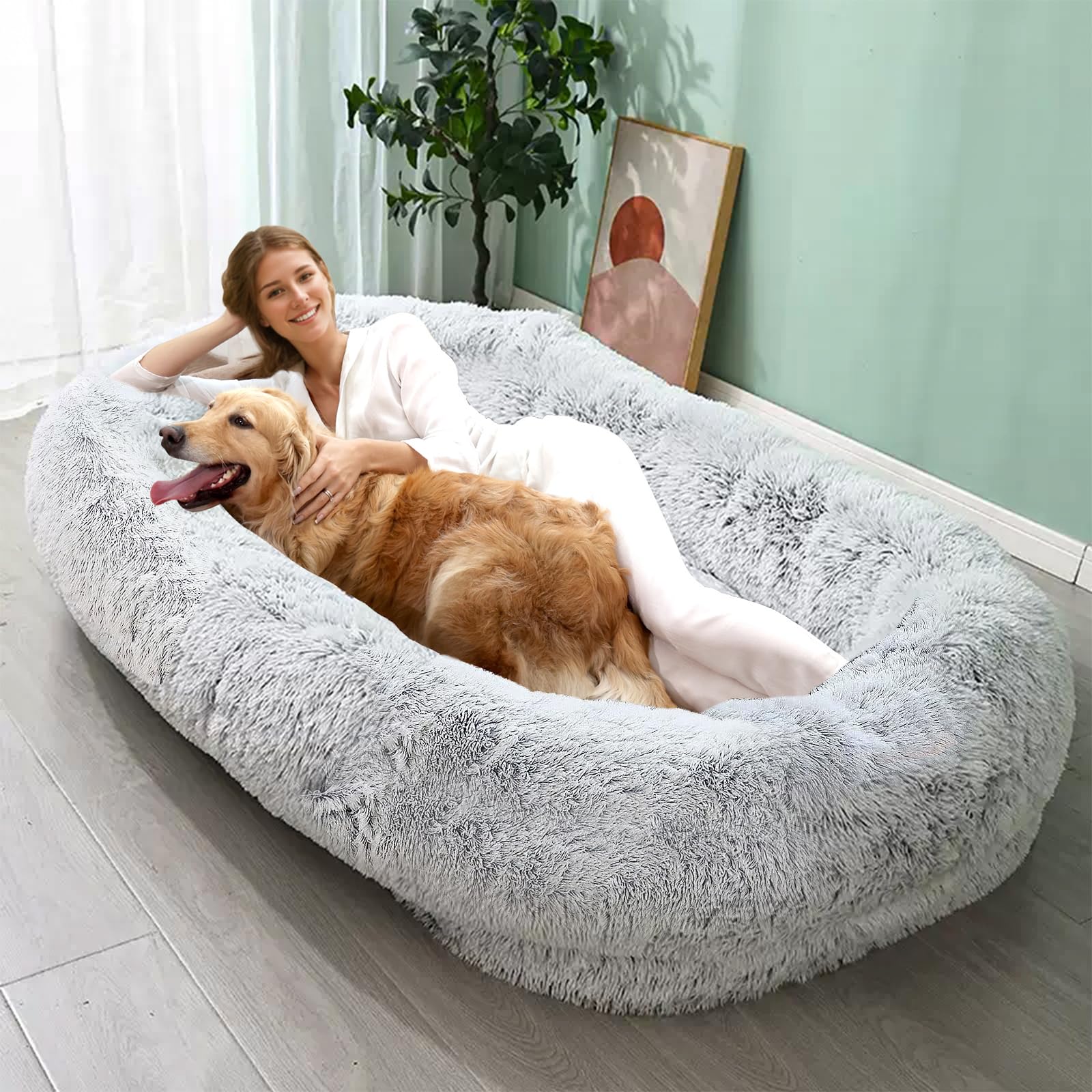 https://m.media-amazon.com/images/I/81L+FI0oeqL.jpg
