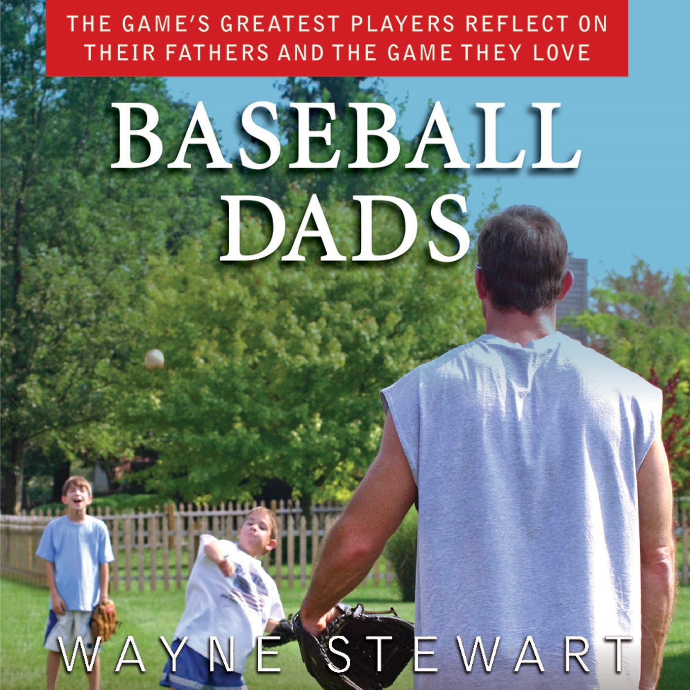 Baseball Dads