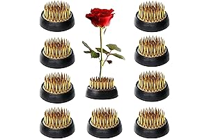 Kenzan 10Pcs Flower Frogs