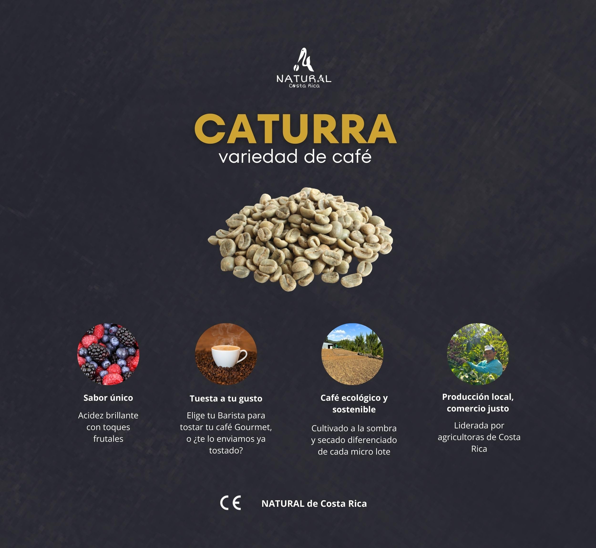 NATURAL de Costa Rica | Café en Grano Natural Premium Sin Tostar | Café de Especialidad 100% Arábica Gourmet Variedad CATURRA | Kit Café Regalo 1kg