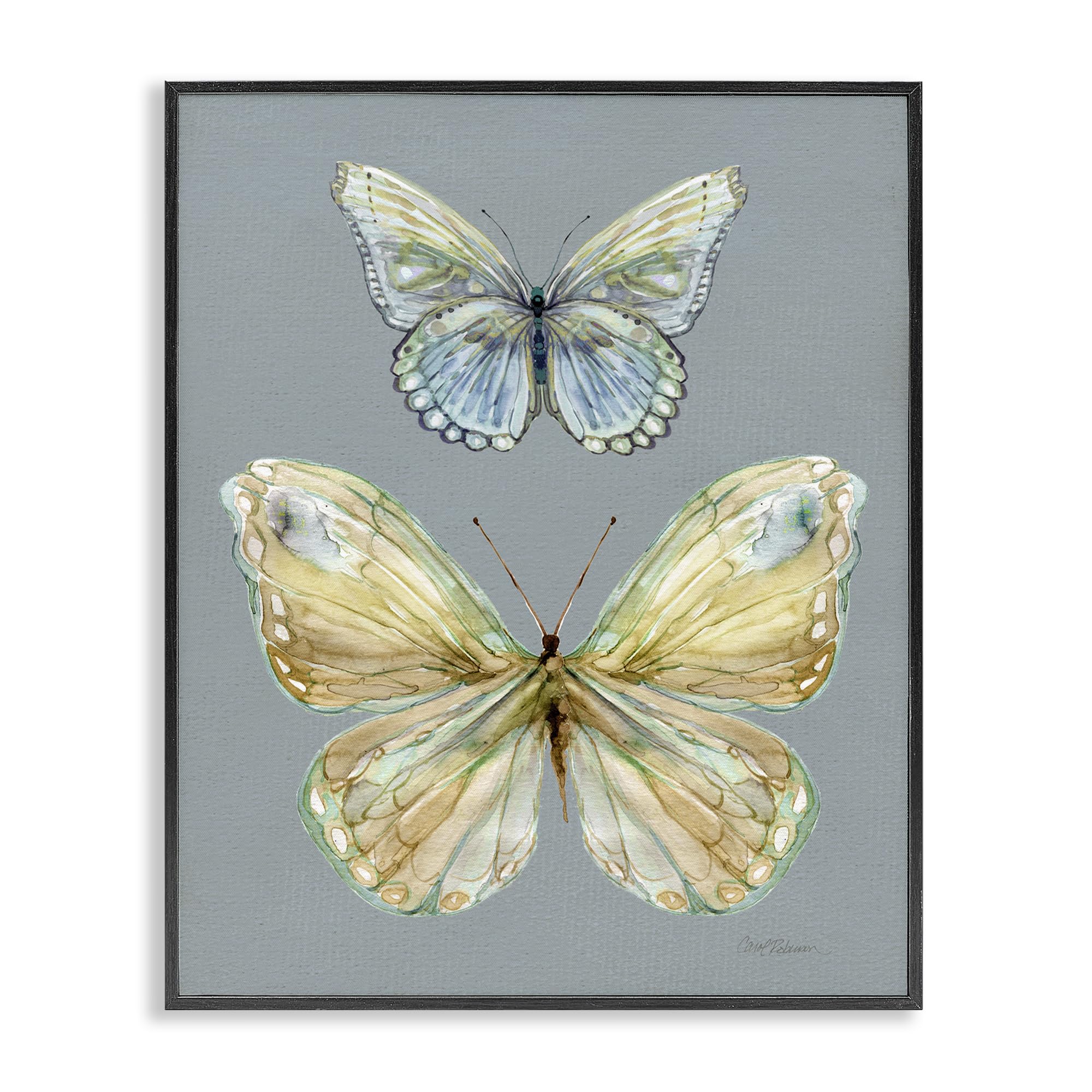 Stupell Industries 'Delicate Butterflies on Slate', Framed Giclee Art, Black, 16 x 20 Inches, Easy to Hang and Sturdy, Made in USA, by Carol Robinson
